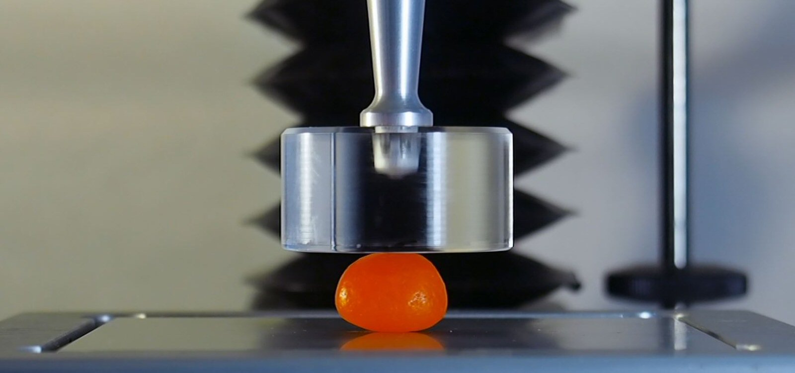 jelly bean about to be tested